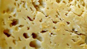El queso casu marzu