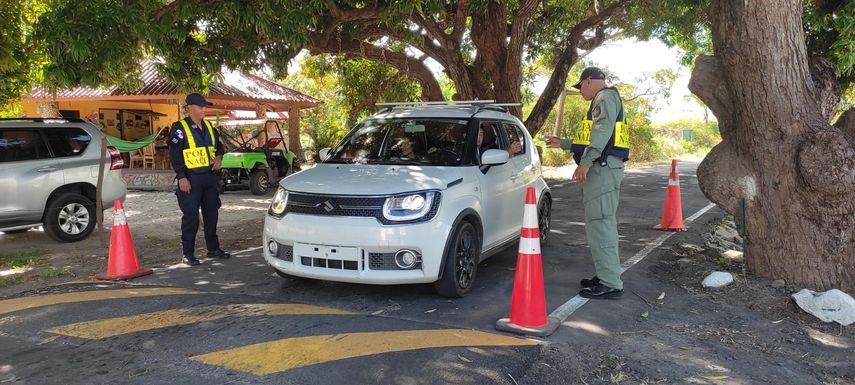 La DNOT reportó que en este año se suscitaron 794 atropellos y 28