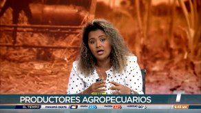 Productores de Chepo denuncian que no los dejan utilizar servidumbre