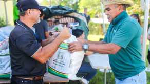 Agroferias del IMA: ¿Cuándo regresarán las ventas de arroz?