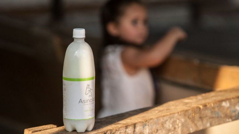 La leche de burra se abre paso para atender a lactantes en Chile