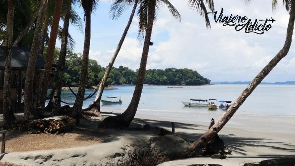 Boca Chica en el Parque Nacional Marino de Chiriquí