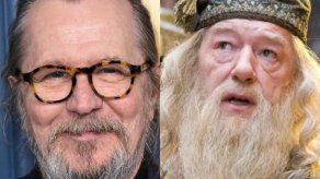 Gary Oldman, famoso por su papel de Sirius Black, aspira a ser Dumbledore en la serie de Harry Potter