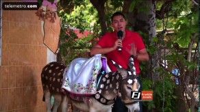 ¿Por qué a los articulados se les llama mula?
