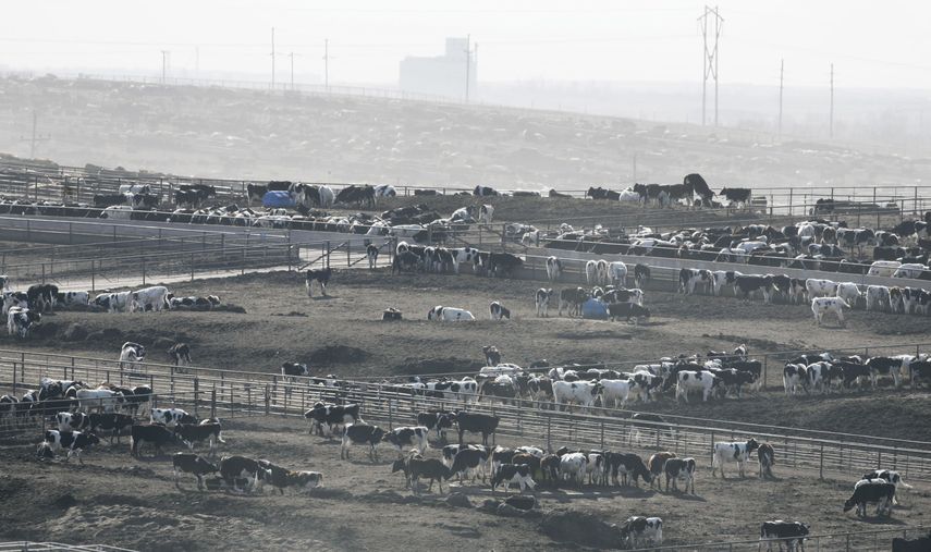 Las autoridades agrícolas de Kansas dijeron que no hay indicios de ninguna otra causa.