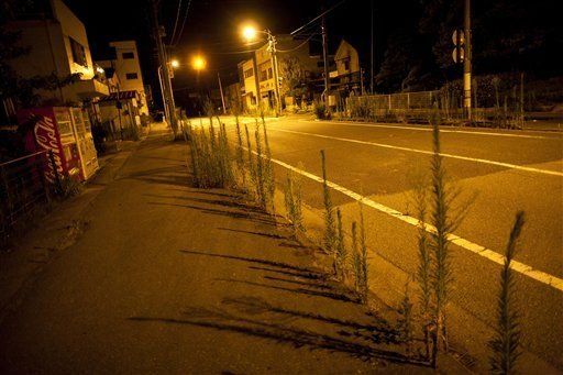 Pueblo japonés agobiado por pérdidas a un año del tsunami