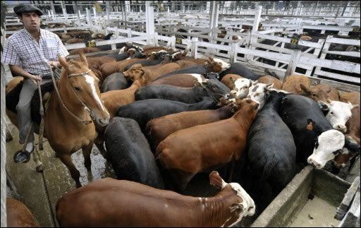 Bacterias del suelo contribuyen en resistencia a antibióticos