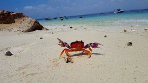 La biodiversidad de Panamá en la mira de Alemania y España en AdventureWeek
