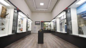 Museo de Historia Natural inaugura sede en antigua cárcel uruguaya remodelada