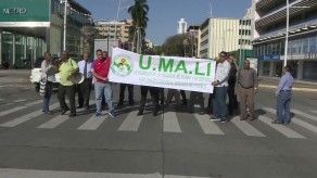 Denuncian irregularidades en nombramientos de docentes del programa Panamá Bilingüe
