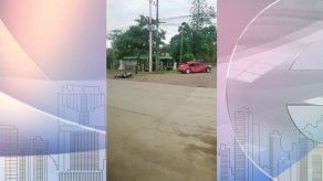 Unidad lince muere tras accidente de tránsito en Las Tablas Unidad lince muere tras accidente de tránsito en Las Tablas