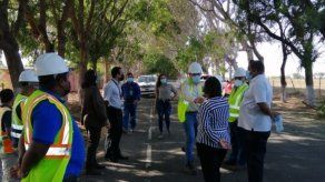 MiAmbiente investiga trabajos de tala y poda en este segmento del distrito de Guararé. MiAmbiente investiga trabajos de tala y poda en este segmento del distrito de Guararé.