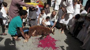 Bolivia aprueba ley contra maltrato animal que permite sacrificios rituales