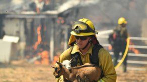 Incendio en California obliga a desalojar a 4.000 personas