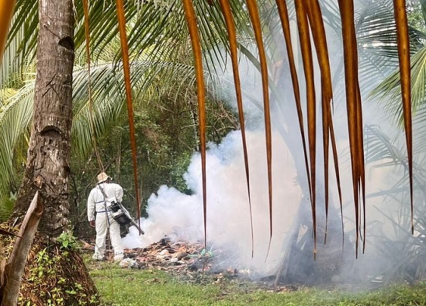 Alerta sanitaria en Soná: primer caso de malaria falciparum en 2025