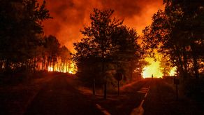En total se han quemado más de 40.000 hectáreas este año en Francia, según las autoridades.