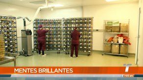 Mentes Brillantes: Rosa De Jesús