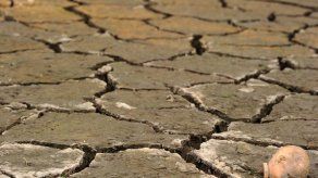 Fenómeno El Niño puede convertirse en uno de cuatro más fuertes en 65 años