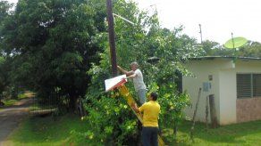 TE remueve propaganda política de lugares prohibidos en Azuero
