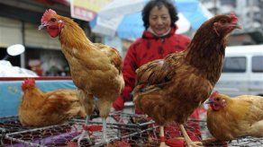 Cepa de gripe aviar mata a 2 hombres en China