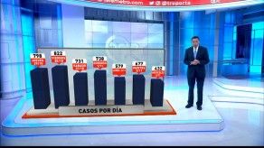 Así evoluciona el coronavirus en Panamá