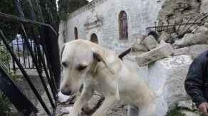 Auxilian a los desamparados por sismo en Grecia