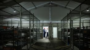 Prisión Alligator Alcatraz recibe a sus primeros migrantes entre críticas por trato indigno