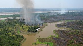 Según los expertos, estos incendios son causados principalmente por agricultores que limpian ilegalmente la tierra quemando la vegetación.