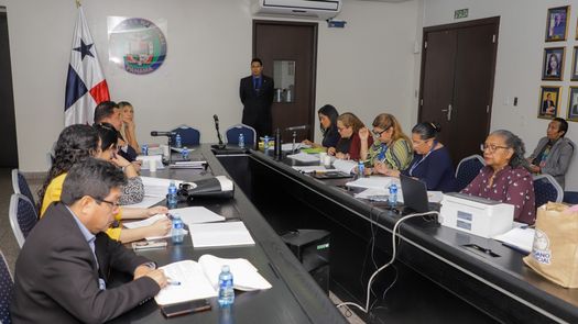 Asamblea Nacional analiza proyecto de ley para agilizar los procesos de adopción. Asamblea Nacional analiza proyecto de ley para agilizar los procesos de adopción.