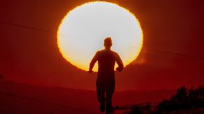 El calentamiento global provoca sequías y acelera la desertificación en muchas regiones del planeta.