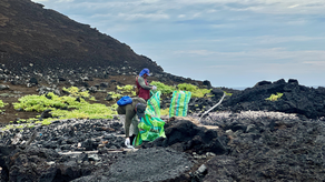 Recolección de basura