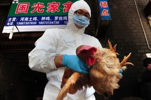 Muere la 7ma persona por el H7N9 en China y ya son 24 las contagiadas