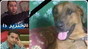 Egipto: 3 arrestado por horrible matanza de perro