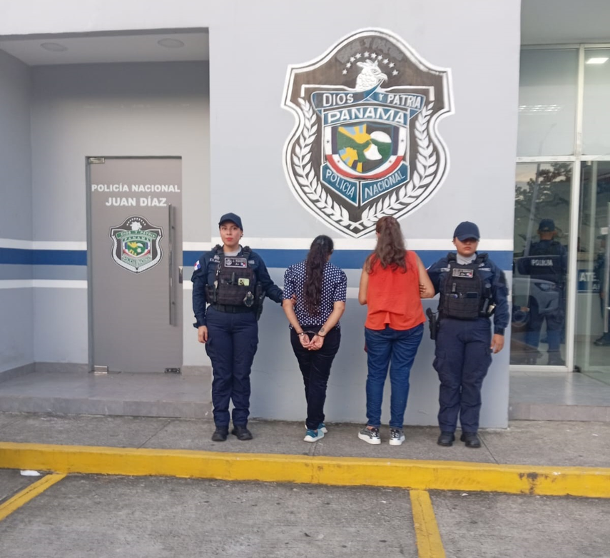 Investigan a dos mujeres tras hallazgo de más de 200 gatos&nbsp;