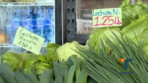 Precios de algunos vegetales en Merca Panamá registran leve alza