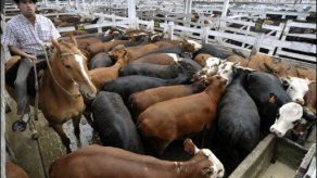 Bacterias del suelo contribuyen en resistencia a antibióticos