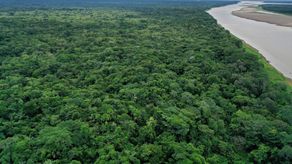 La Amazonía es la mayor selva tropical del mundo.