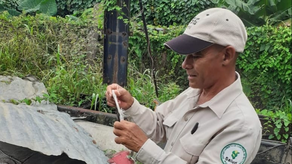 Minsa intensifica operativos para frenar dengue