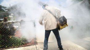 Reportan 5 casos nuevos de zika en Florida