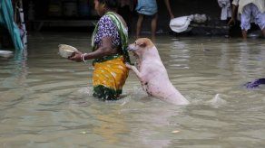 Lluvias monzónicas han dejado más de 100 muertos en la India