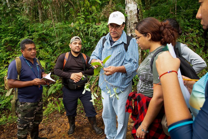 Un curso para conocer la biodiversidad de nuestros bosques