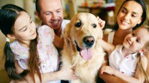 Mascotas: ¿Cuáles son los beneficios para los niños tener una en casa?