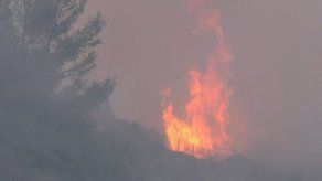 Incendio en Atica oriental cobra nueva fuerza y se evacúa una aldea