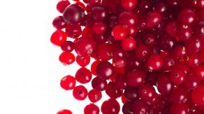 Arándanos no son remedio para infecciones urinarias