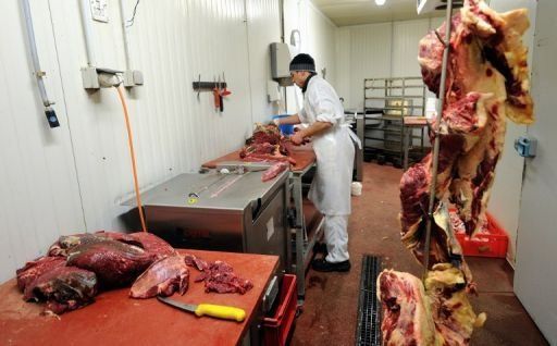 Encuentran carne de caballo por primera vez en Italia