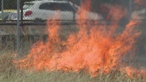 Incendios de masa vegetal ocasionan serios daños ecológicos