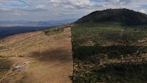 Los taladores ilegales solían amenzar a los agricultores.