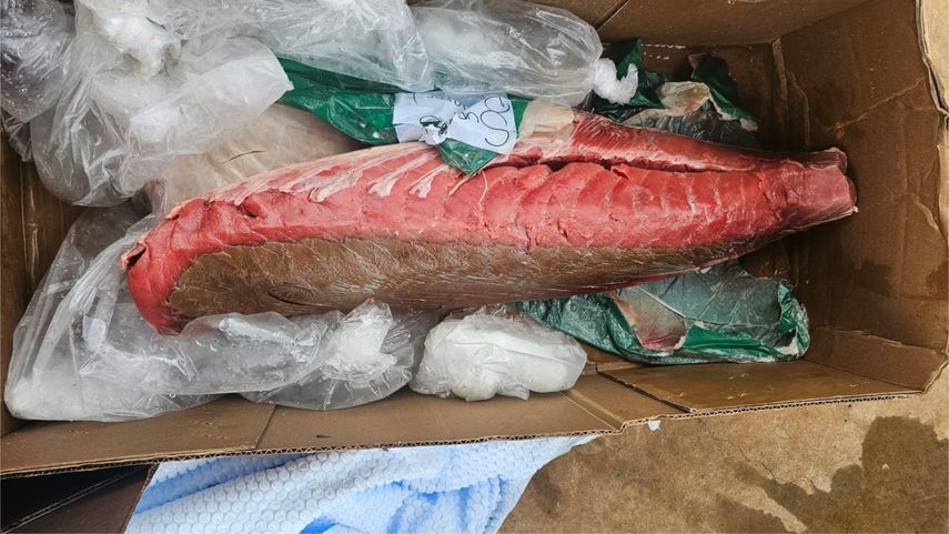 Aduanas retiene productos del mar no declarados y sin la documentación.