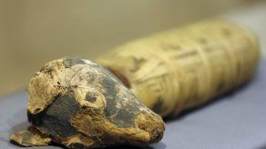 Museo de California exhibe momias de animales