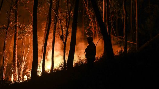 Unos 600 bomberos seguían movilizados en la zona.